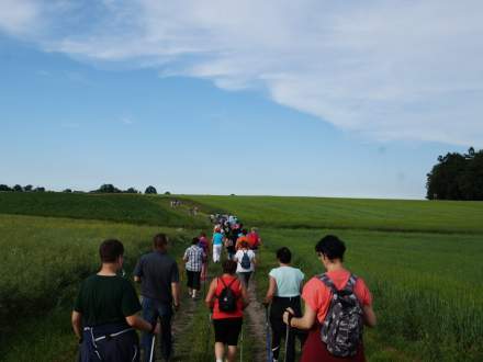 Marsz Nordic Walking