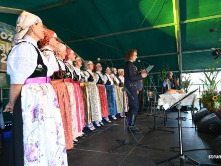 Obrzęd Dożynkowy w wykonaniu Zespółu Regionalnego "Strumień"