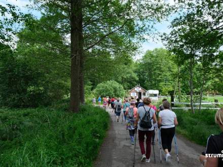 Marsz nordic walking