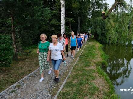 Przejście Ścieżką Wiedzy i Zdrowia w Drogomyślu