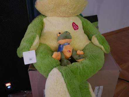 Finał WOŚP w Pruchnej