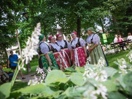 Dzień Tradycji, Stroju i Pieśniczki Regionalnej