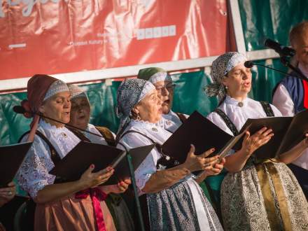 Dzień Tradycji, Stroju i Pieśniczki Regionalnej