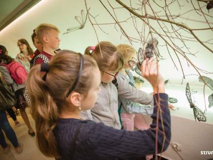 Dzień Otwarty projektu transgranicznego