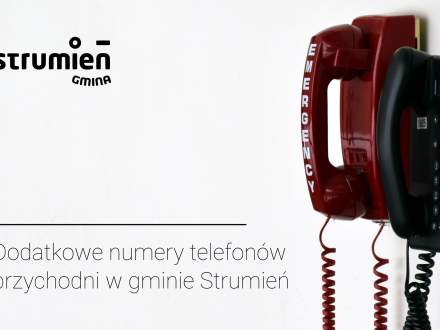 Numery telefonów