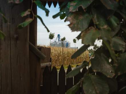 Najpiękniejsza zagroda województwa śląskiego