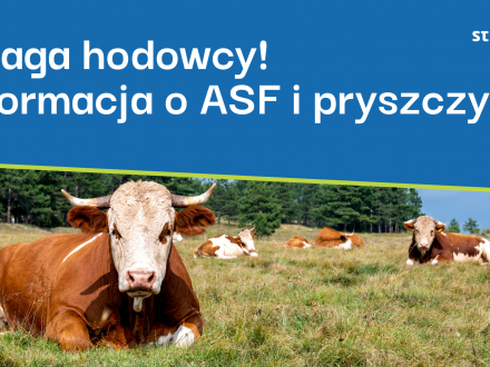 Uwaga hodowcy! Informacja o ASF i pryszczycy