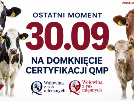 Certyfikat QMP - termin uzyskania upływa 30 września 2026 r.