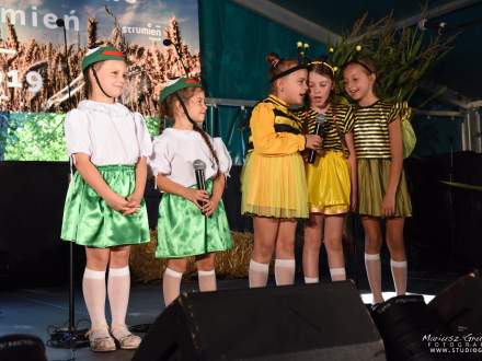 Dożynki Gminne 2019