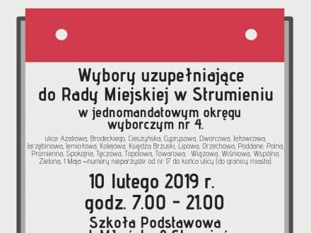 Wybory uzupełniające