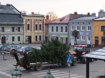 Stawianie choinki na Rynku