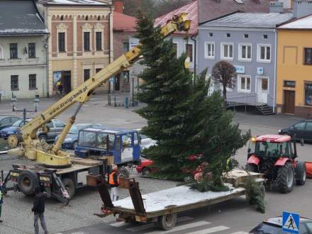 Stawianie choinki na Rynku