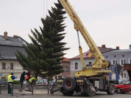 Stawianie choinki na Rynku