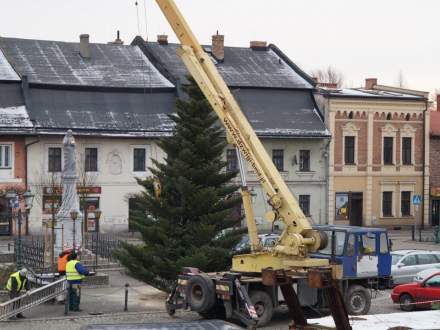 Stawianie choinki na Rynku