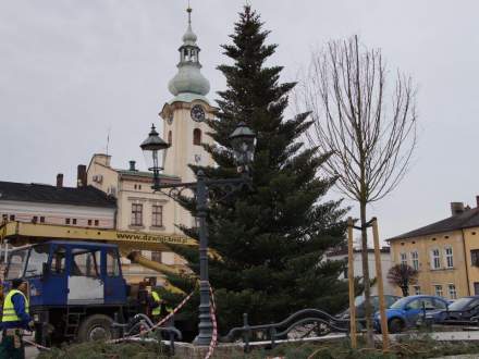 Stawianie choinki na Rynku