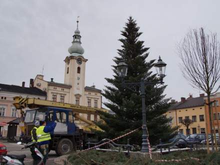 Stawianie choinki na Rynku