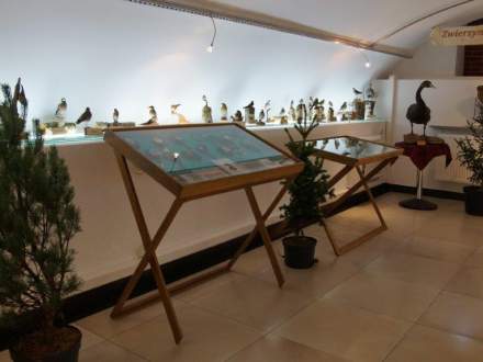 Wystawa „Zwierzyna chroniona naszych pól, lasów, tradycja, kultura łowiecka, lasy”