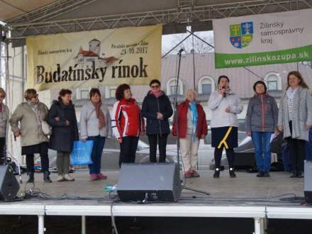 Twórcy-amatorzy ze Strumienia w Budatinie