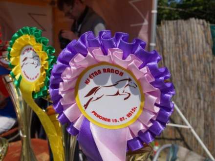 Amatorskie Zmagania Jeździeckie