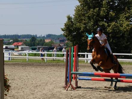 Skoki przez przeszkody