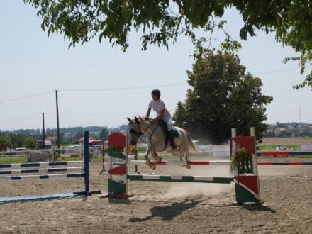 Skoki przez przeszkody