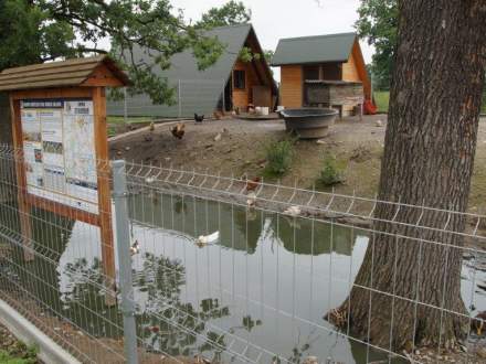 Komisja konkursu "Piękna wieś województwa ślaskiego" w gminie Strumień