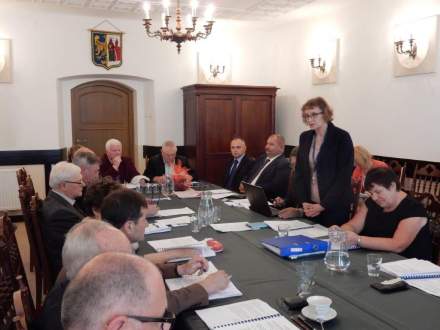 Sesja Rady Miejskiej Strumienia