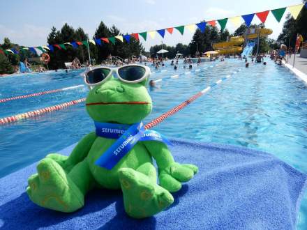 |Zajęcia na basenie