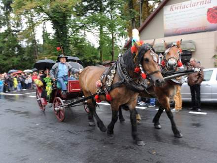 Dożynki Gminne w Drogomyślu 2017