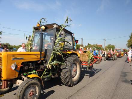 Gminne Dożynki w Bąkowie