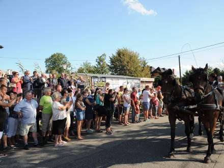 Gminne Dożynki w Bąkowie