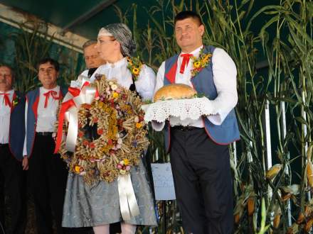 Gminne Dożynki w Bąkowie