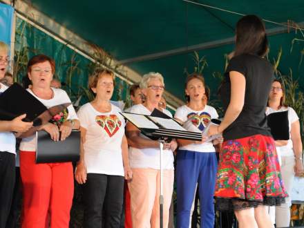 Gminne Dożynki w Bąkowie