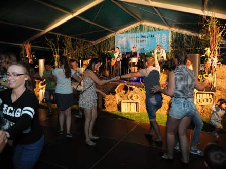 Gminne Dożynki w Bąkowie