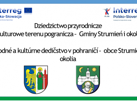 Wideokonferencja - grafika