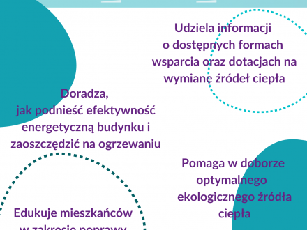 Czym zajmuje się ekodoradca?