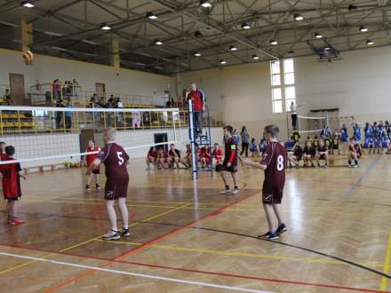 Turniej mini piłki siatkowej szkół podstawowych Zdj. www.sport.strumien.pl