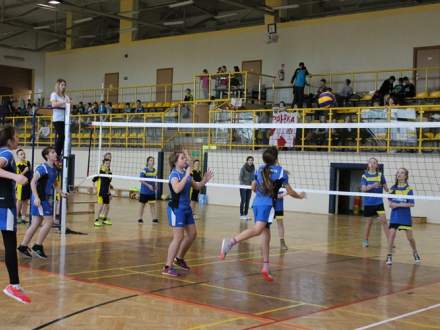 Turniej mini piłki siatkowej szkół podstawowych Zdj. www.sport.strumien.pl