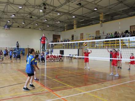 Turniej mini piłki siatkowej szkół podstawowych Zdj. www.sport.strumien.pl