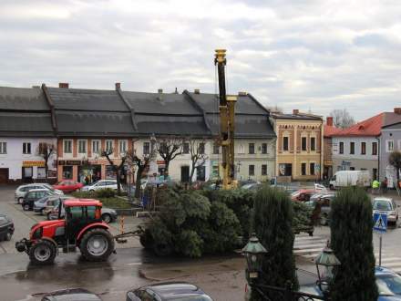 Bożonarodzeniowa choinka