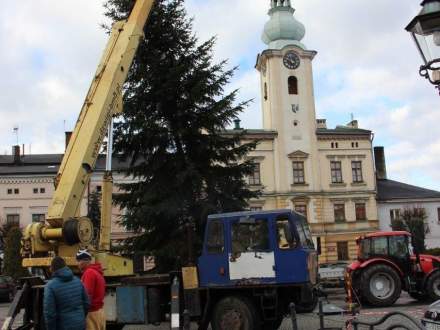 Bożonarodzeniowa choinka