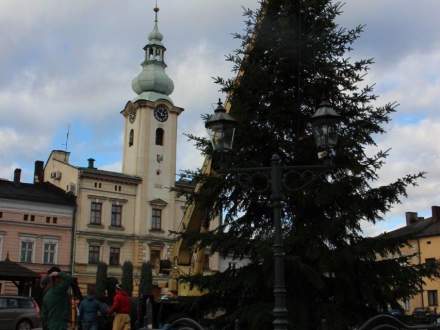 Bożonarodzeniowa choinka
