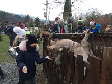 Ferie zimowe w gminie Strumień