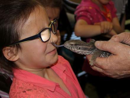 Dziecięca Akademia Naukowa