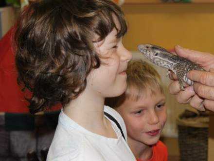 Dziecięca Akademia Naukowa