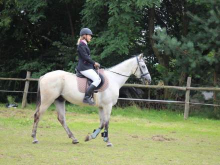 Zawody Jeździeckie w Pruchnej 13.08.2016