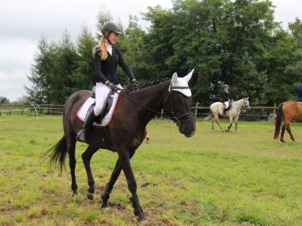 Zawody Jeździeckie w Pruchnej 13.08.2016