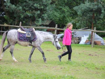 Zawody Jeździeckie w Pruchnej 13.08.2016