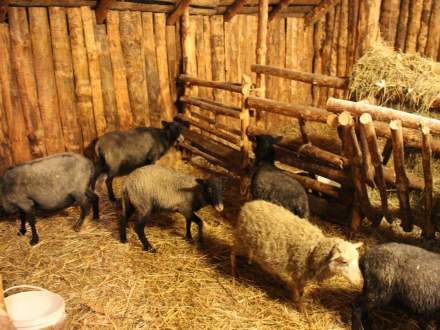 Strumieńskie Betlejem