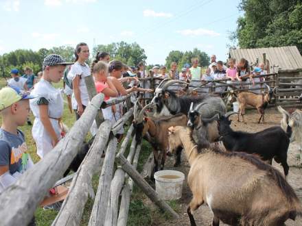 Wakacje w Gminie Strumień